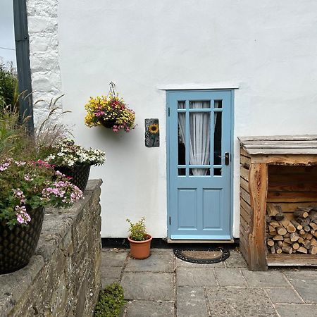 Y Felin Bed And Breakfast And Smallholding Caersws Luaran gambar