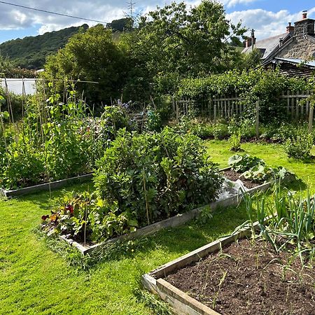 Y Felin Bed And Breakfast And Smallholding Caersws Luaran gambar