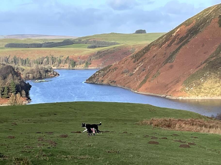 Y Felin Bed And Breakfast And Smallholding Caersws Luaran gambar