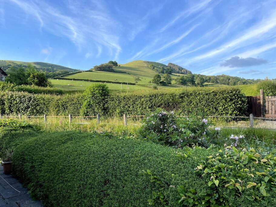 Y Felin Bed And Breakfast And Smallholding Caersws Luaran gambar