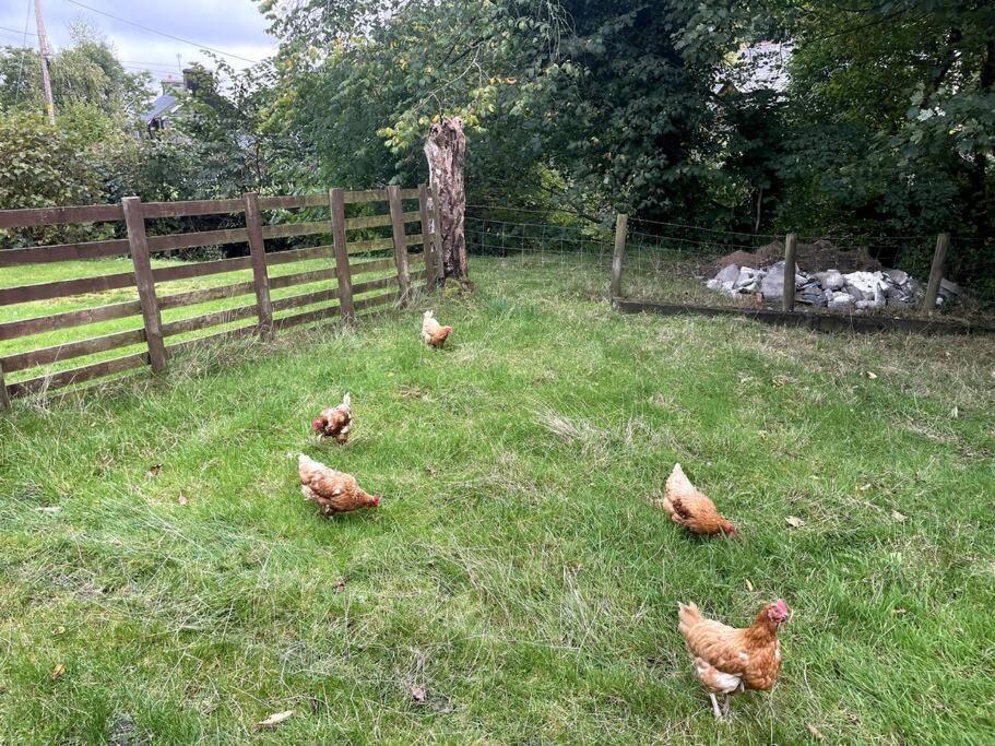 Y Felin Bed And Breakfast And Smallholding Caersws Luaran gambar