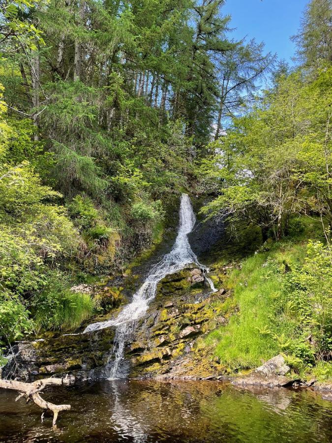 Y Felin Bed And Breakfast And Smallholding Caersws Luaran gambar